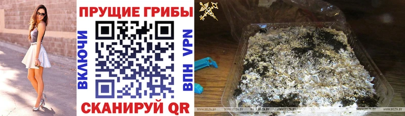Галлюциногенные грибы мухоморы  цены   omg как войти  Нижневартовск 